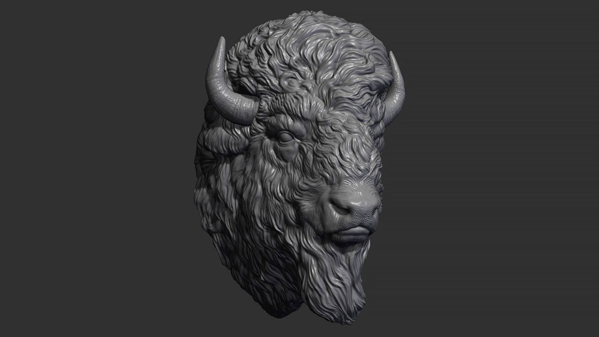 Bison head, carved in Iroko