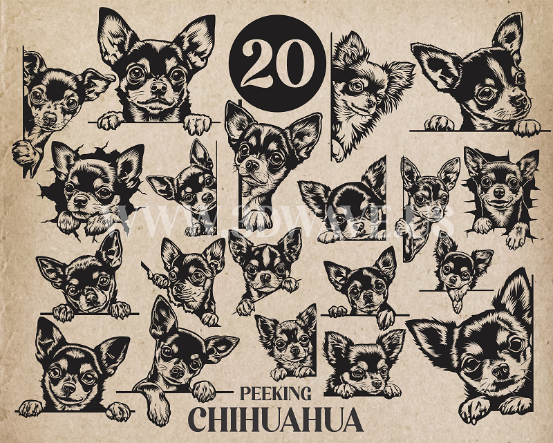 Peeking Chihuahua Dog Laser and Cricut SVG Vector Files