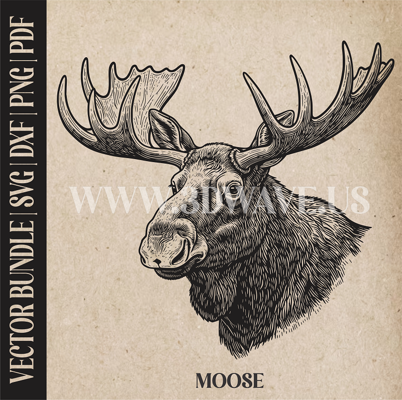 Moose  | Vector Art: LaserCut Files for Cricut, Glowforge SVG | Digital Products