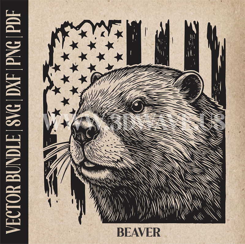 Beaver on american flag backround | Vector Art: LaserCut Files for Cricut, Glowforge SVG | Digital Products (Copy)