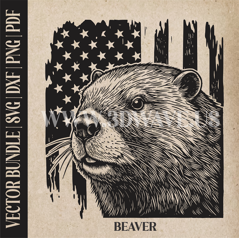 Beaver on american flag backround | Vector Art: LaserCut Files for Cricut, Glowforge SVG | Digital Products (Copy)