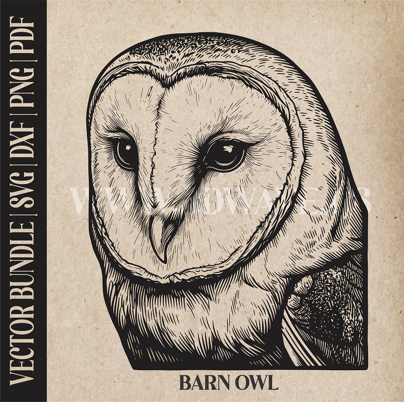 Barn owl  | Vector Art: LaserCut Files for Cricut, Glowforge SVG | Digital Products
