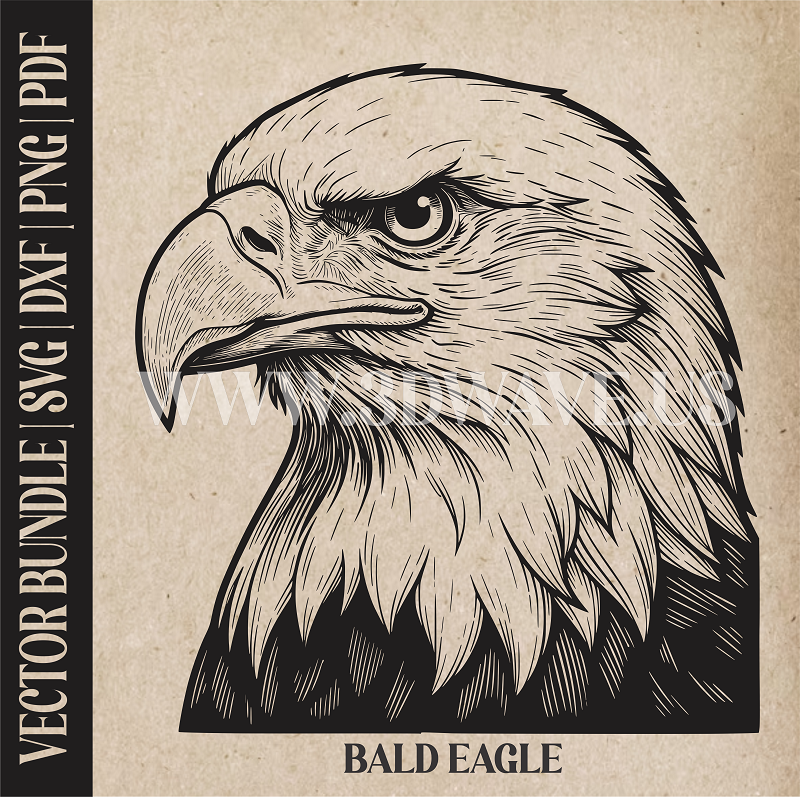 Bald Eagle  | Vector Art: LaserCut Files for Cricut, Glowforge SVG | Digital Products