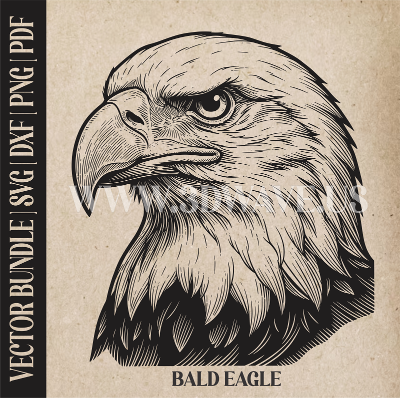 Bald Eagle  | Vector Art: LaserCut Files for Cricut, Glowforge SVG | Digital Products