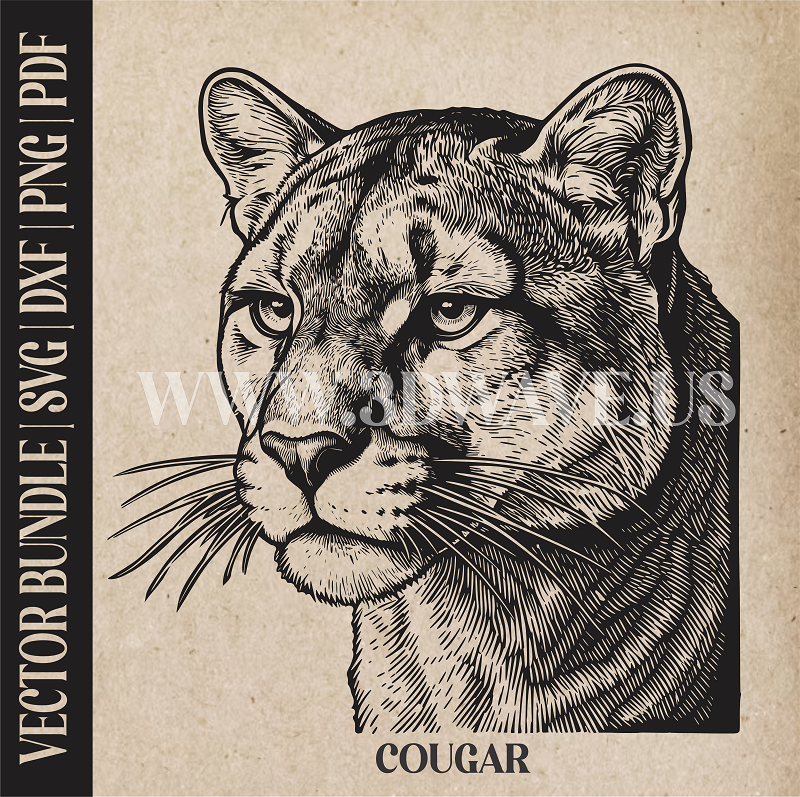 Cougar  | Vector Art: LaserCut Files for Cricut, Glowforge SVG | Digital Products