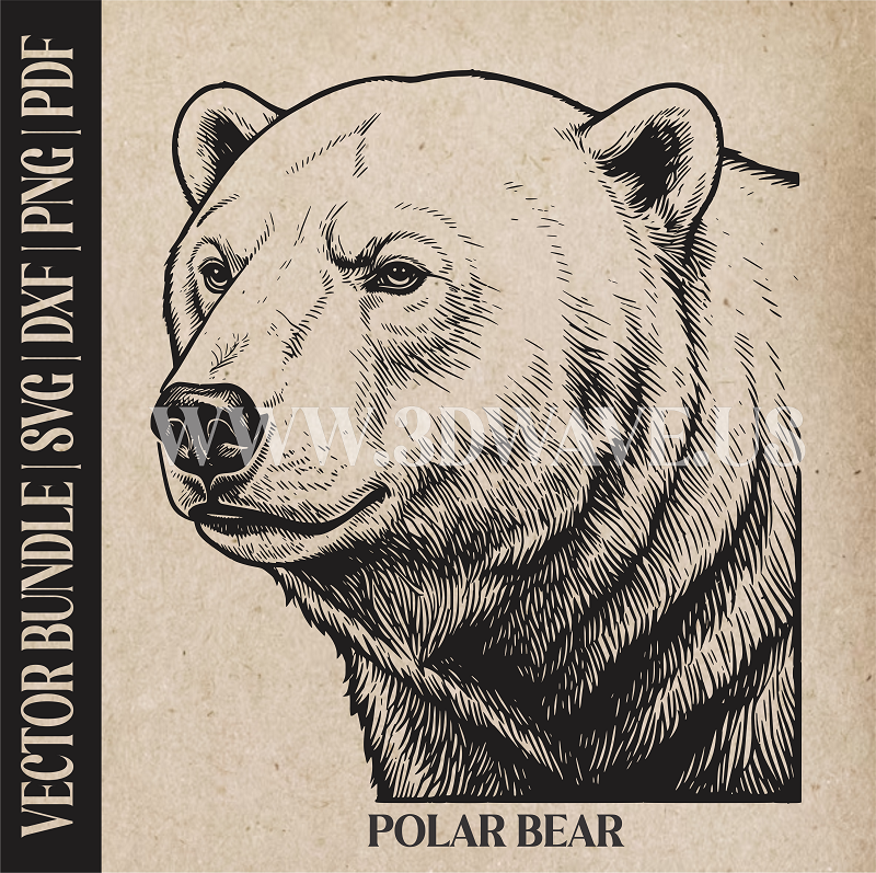 Polar Bear  | Vector Art: LaserCut Files for Cricut, Glowforge SVG | Digital Products