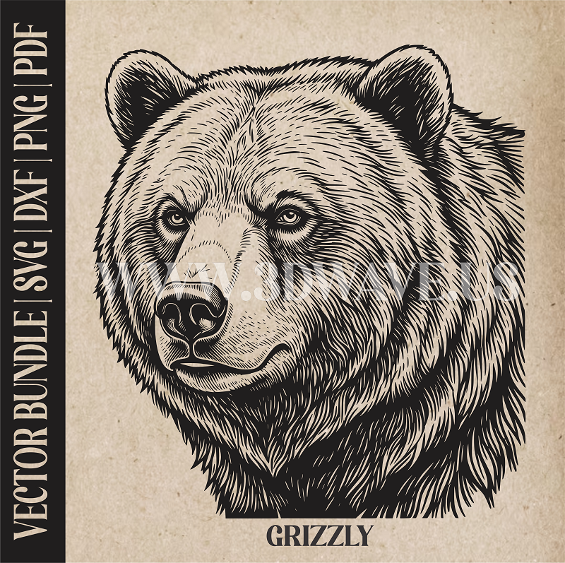 Grizzly bear | Vector Art: LaserCut Files for Cricut, Glowforge SVG | Digital Products