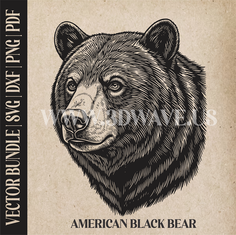 American Black Bear | Vector Art: LaserCut Files for Cricut, Glowforge SVG | Digital Products