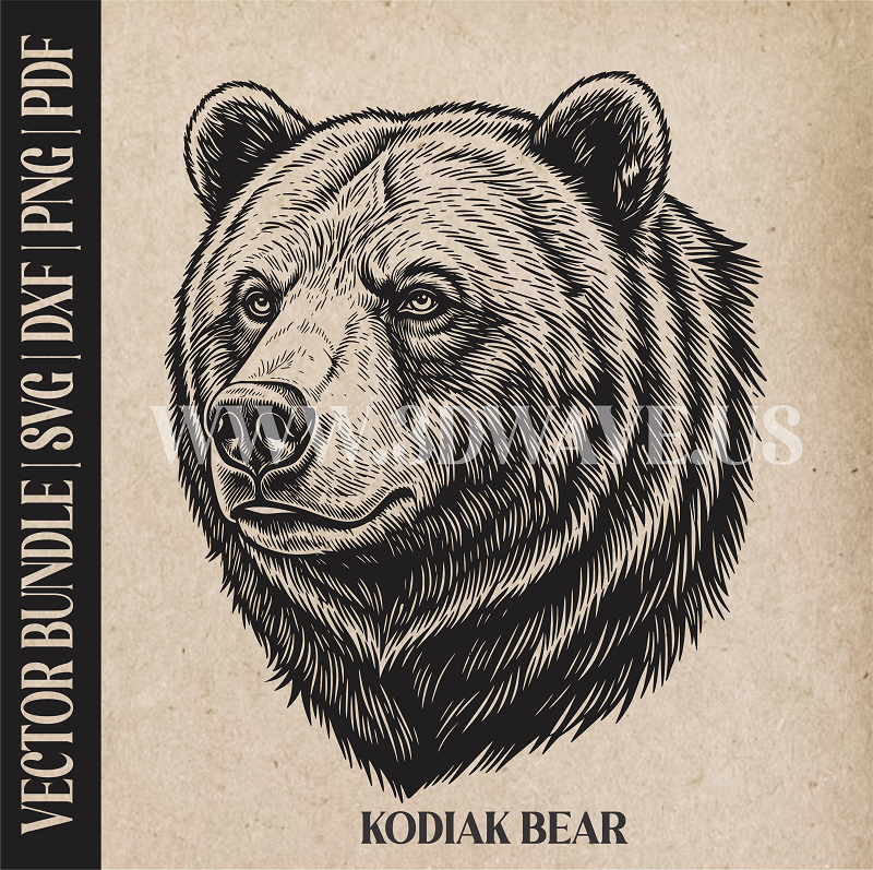 Kodiak Bear | Vector Art: LaserCut Files for Cricut, Glowforge SVG | Digital Products)