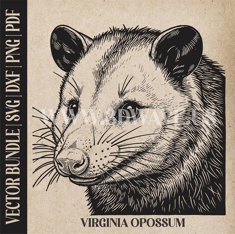 Opossum | Vector Art: LaserCut Files for Cricut, Glowforge SVG | Digital Products