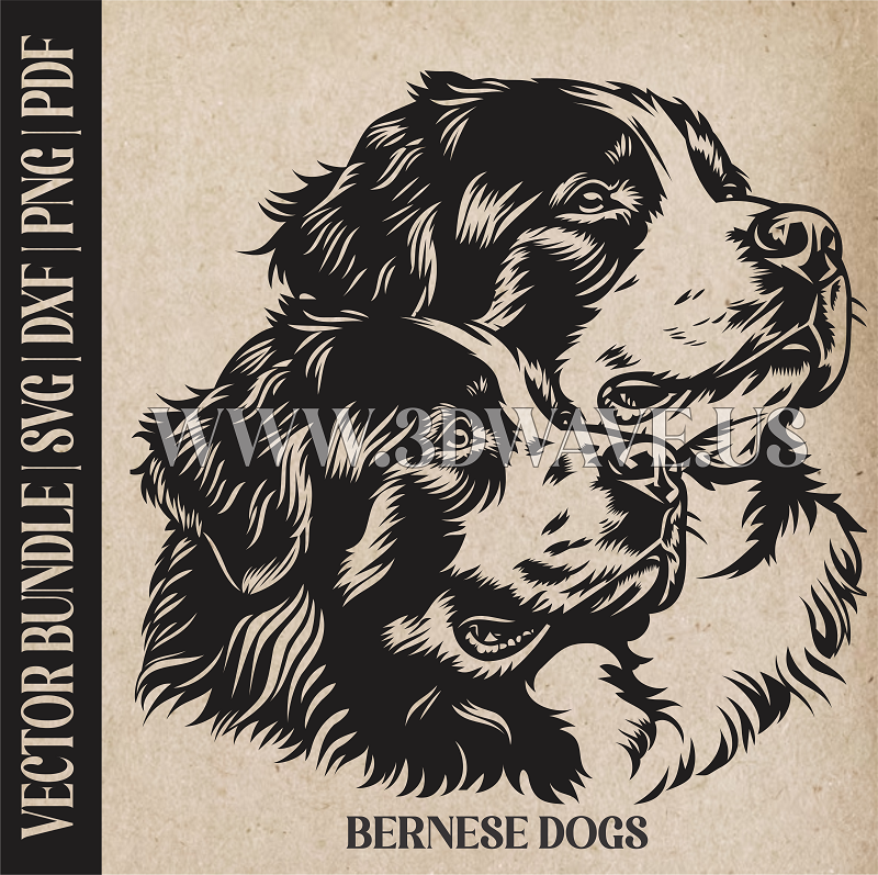 Bernese dogs | Vector Art: LaserCut Files for Cricut, Glowforge SVG | Digital Products