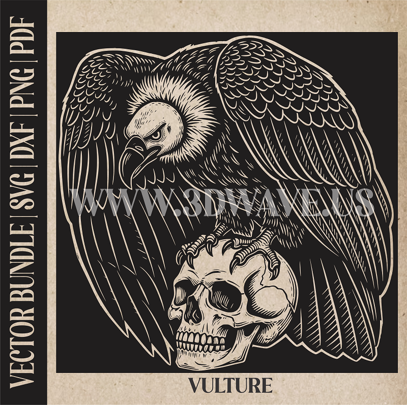 Vulture on human skull | Vector Art: LaserCut Files for Cricut, Glowforge SVG | Digital Products