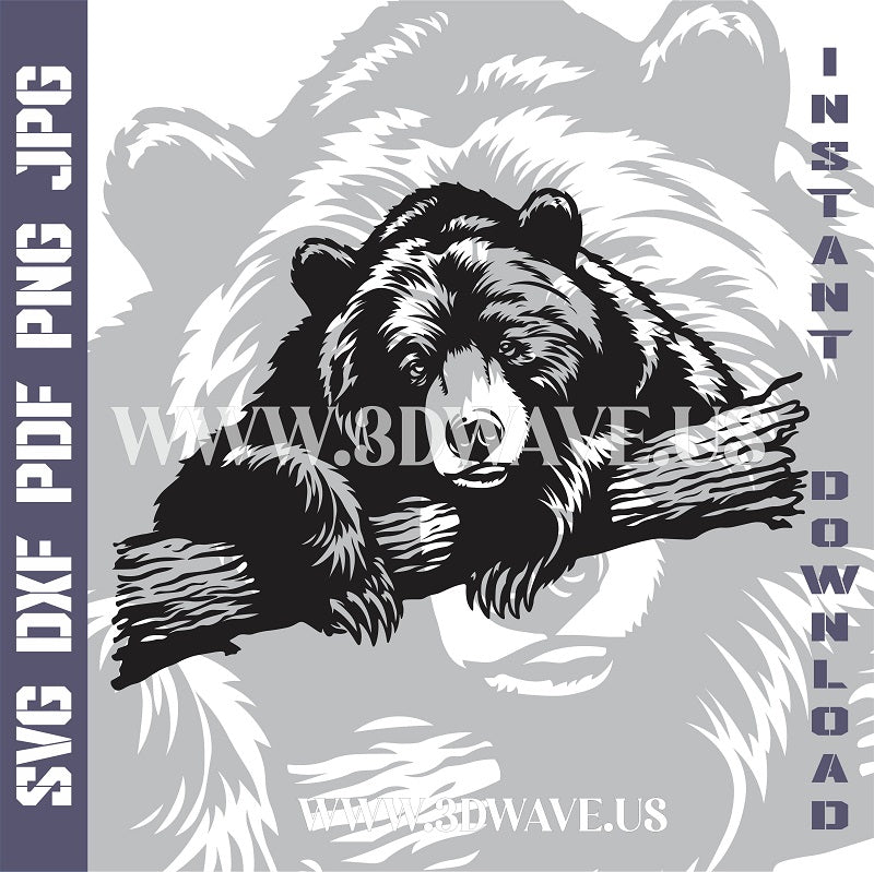 BEAR Laser and Cricut SVG Vector Files