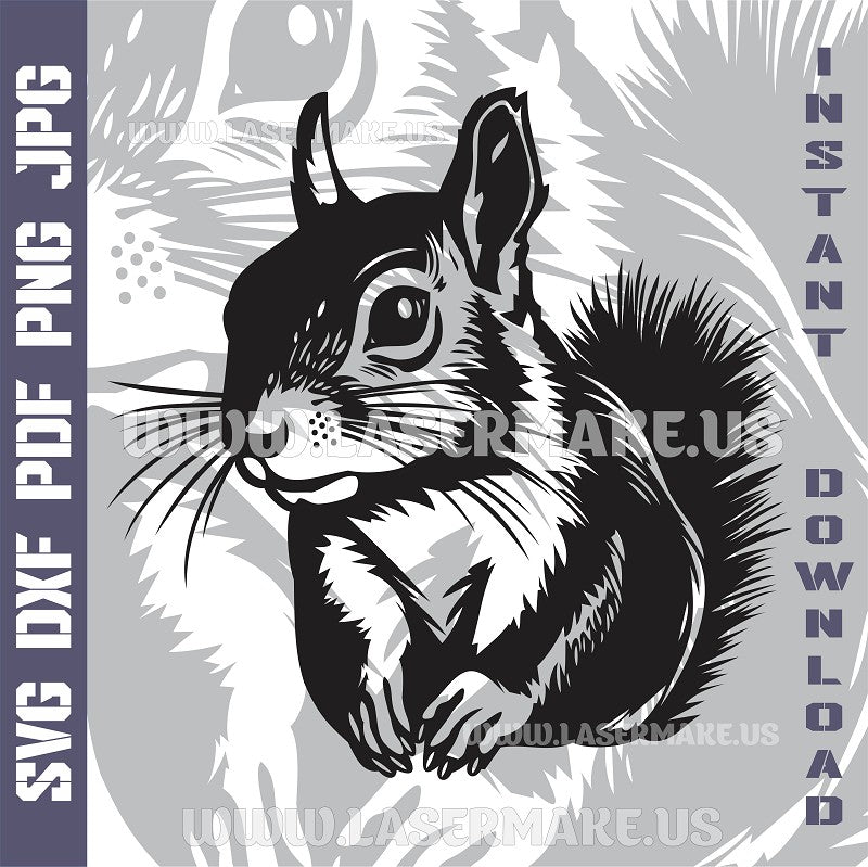 SQUIRREL Laser and Cricut SVG Vector Files