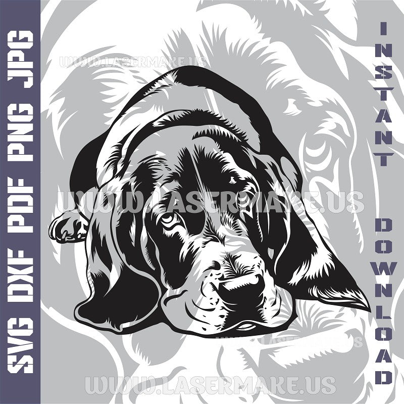 Basset Hound SVG laser ready files - 3DWave.us