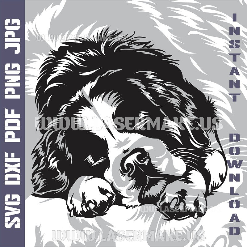 Bernese Mountain Dog SVG laser ready files - 3DWave.us