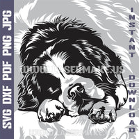 Thumbnail for Bernese Mountain Dog SVG laser ready files - 3DWave.us