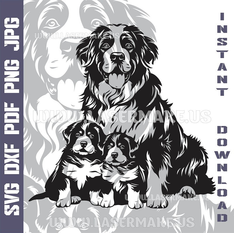 Bernese Mountain Dogs SVG laser ready files - 3DWave.us