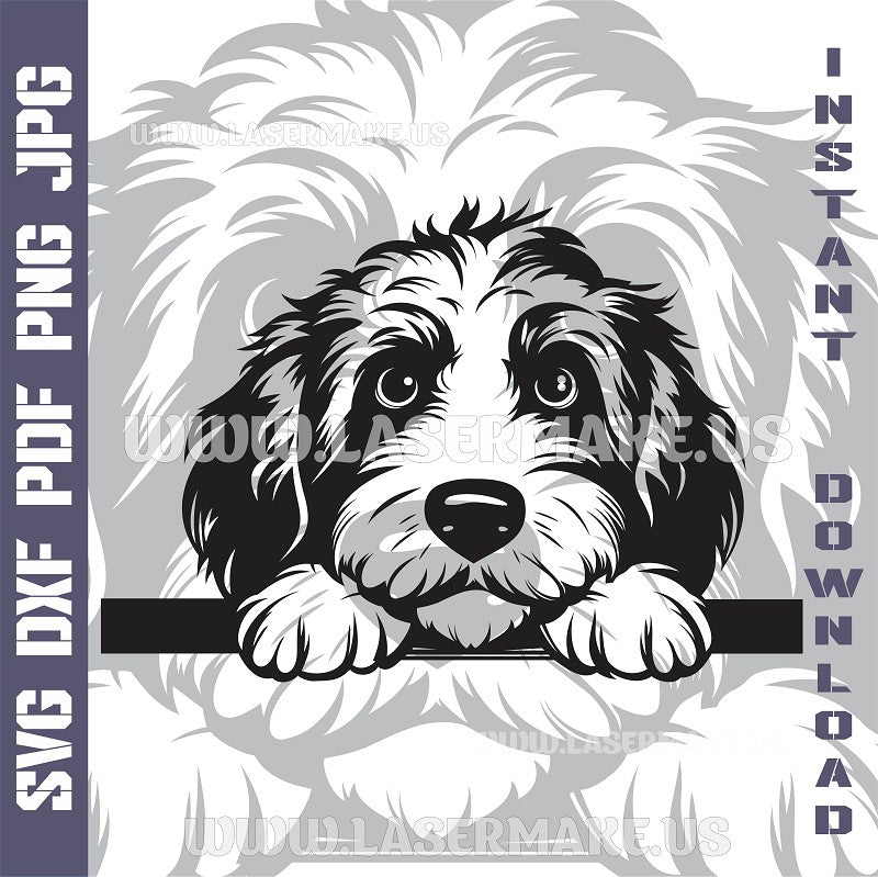 Labradoodle SVG laser ready files - 3DWave.us