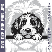 Thumbnail for Labradoodle SVG laser ready files - 3DWave.us