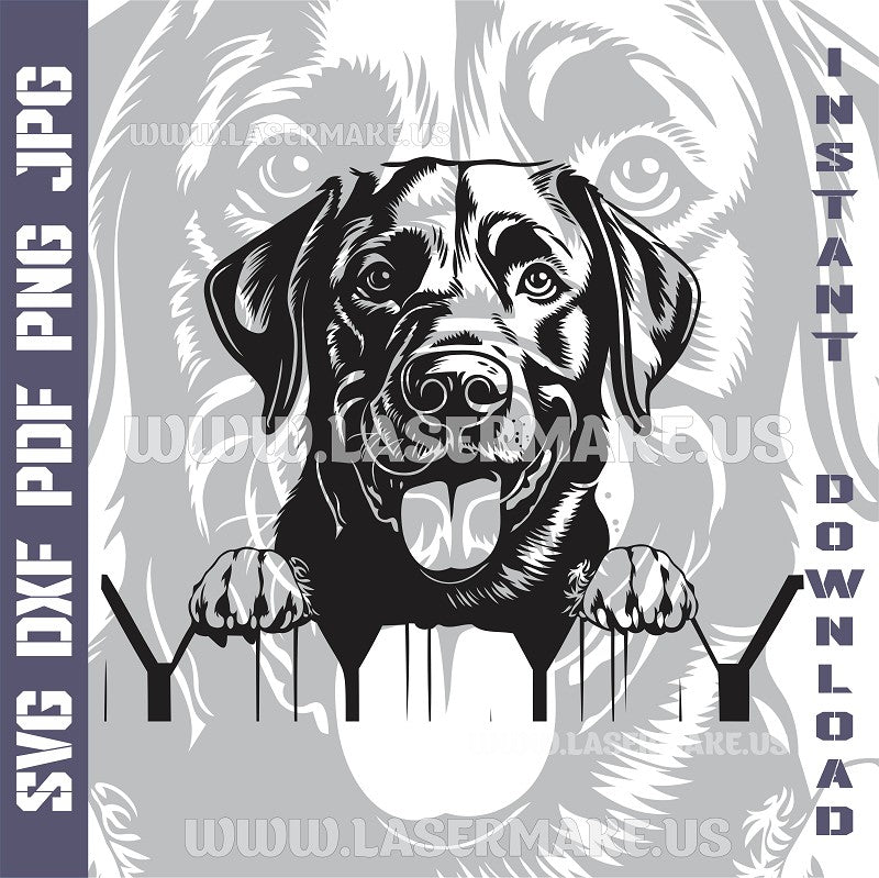 Labrador Retriever SVG laser ready files - 3DWave.us