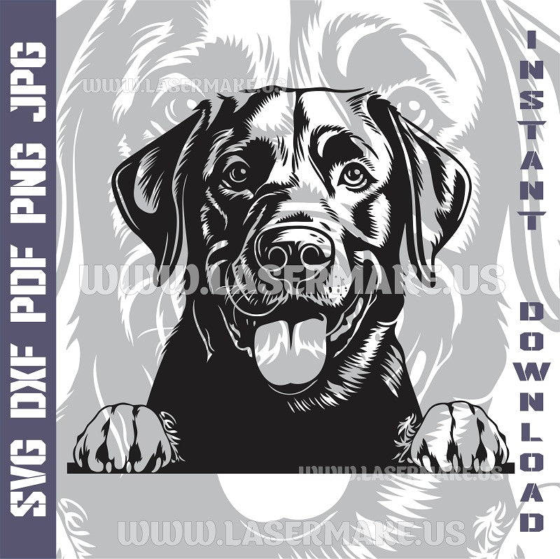 Labrador Retriever SVG laser ready files - 3DWave.us