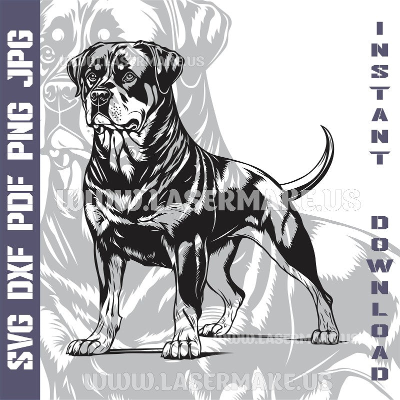 Rottweiler SVG laser ready files - 3DWave.us