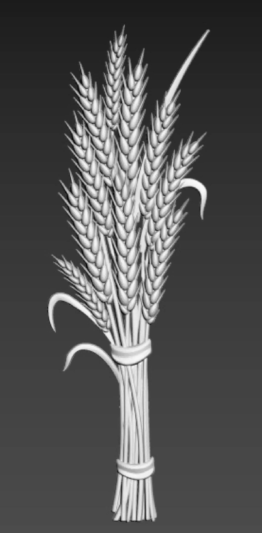 3d wheat file 3d stl asghar