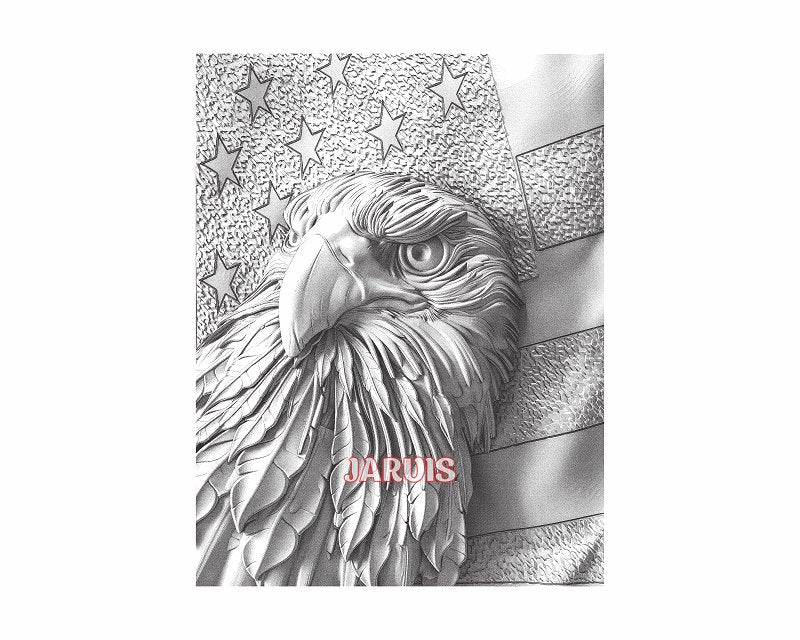 American Eagle 3d illusion & laser-ready file - 3DWave.us