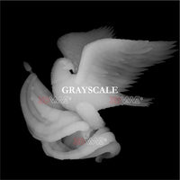 Thumbnail for AMERICAN EAGLE grayscale image 3DWave