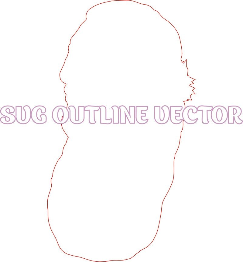 AMERICAN NATIVE 3d illusion & laser - ready file 3DWave.us