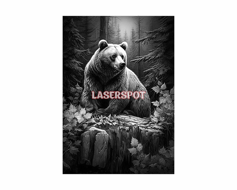 Bear 3d illusion and laser-ready files - 3DWave.us