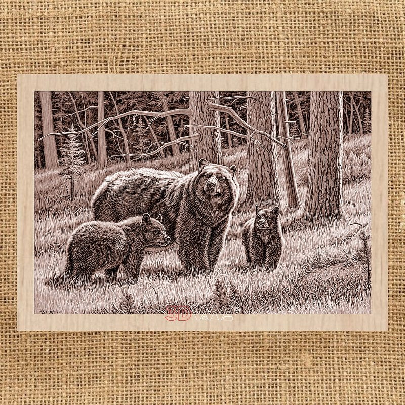 BEARS pyroprinter and laser-ready files 3DWave.us