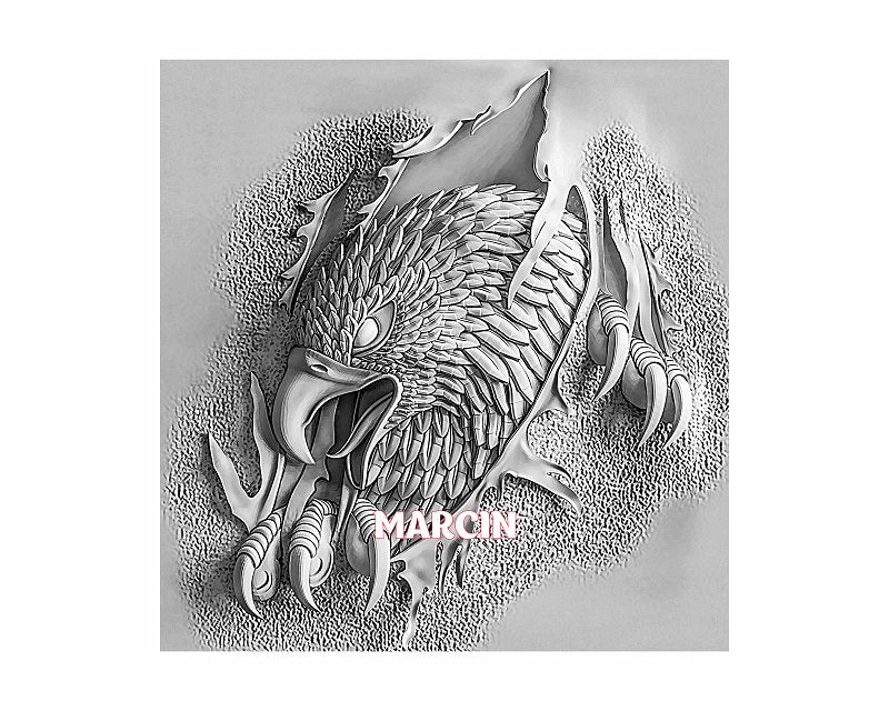 Eagle 3d illusion & laser-ready files - 3DWave.us