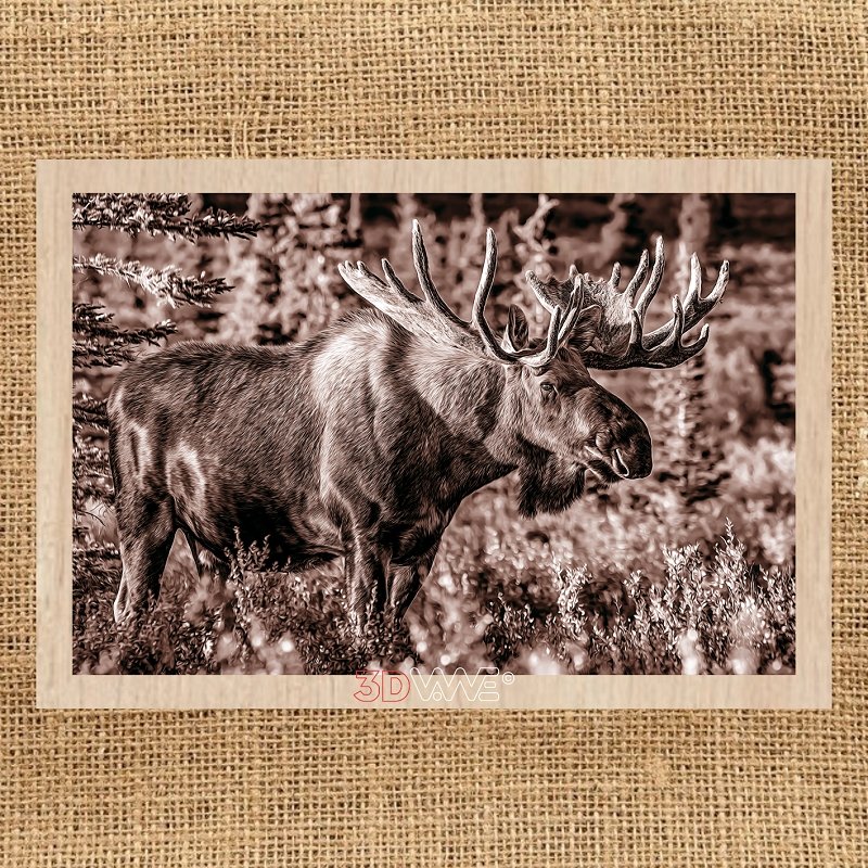 ELK pyroprinter & laser-ready file 3DWave.us