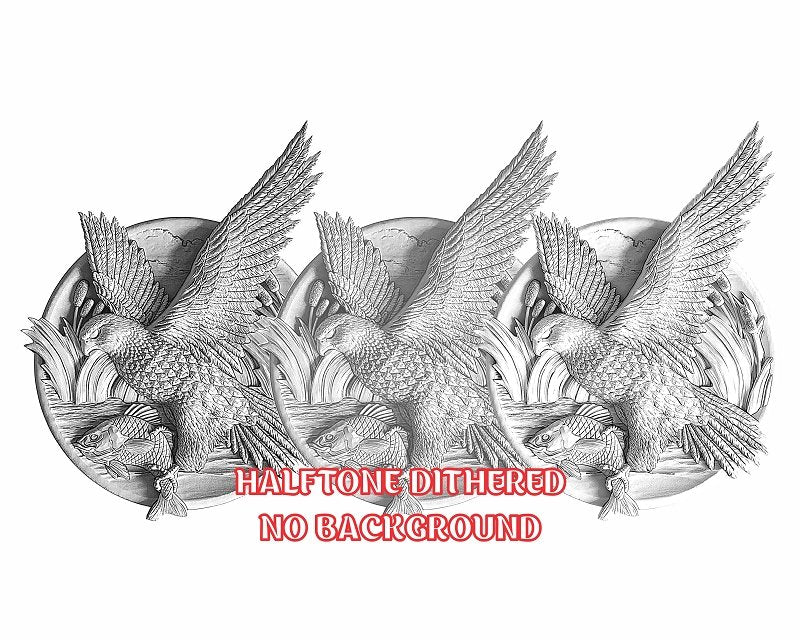 FISHING HAWK 3d illusion & laser-ready file 3DWave.us