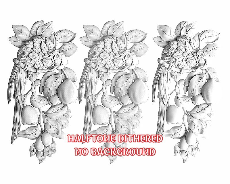 PARROT 3d illusion & laser-ready file 3DWave.us