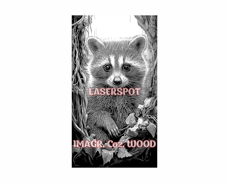 Raccoon 3d illusion & laser-ready files - 3DWave.us