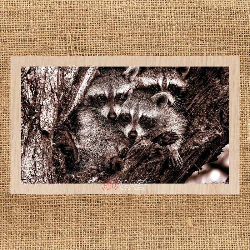 RACCOONS pyroprinter & laser-ready file 3DWave.us